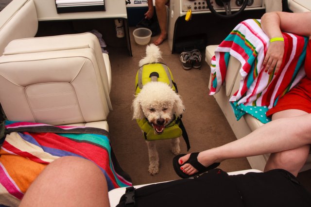 Elliot ready for his dip in the lake which never came